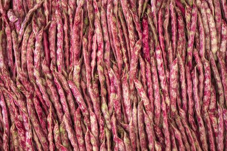 Close up kidney beans on market stand 