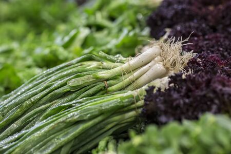 Green fresh onion and lettuce greengrocer marketの写真素材
