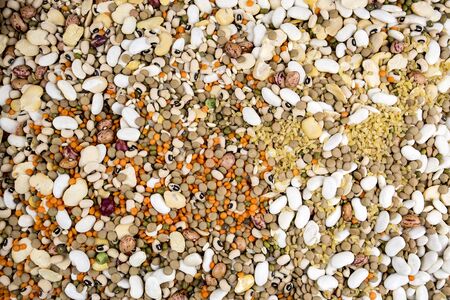 Legume abstract - top view of a variety of colorful bean, lentil and peaの写真素材