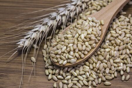 Wheat and wheat ears background. Food concept photo. の写真素材