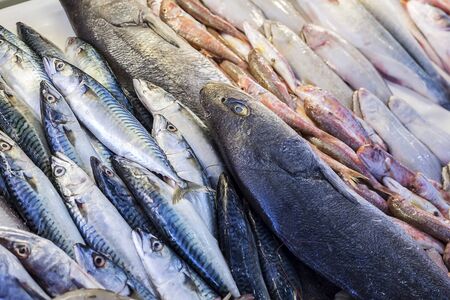 Raw fish market. Seafood healthy fish market.