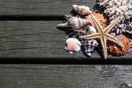 Starfishes, pearls, and amazing seashells close up