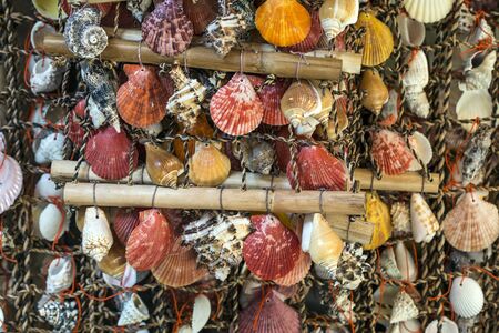 Starfishes, pearls, and amazing seashells close up