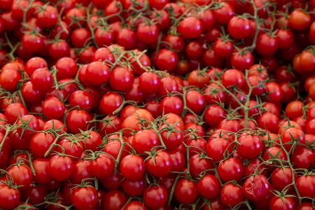 Delicious red tomatoes. Summer tray market agriculture farm full of organic vegetables It can be...