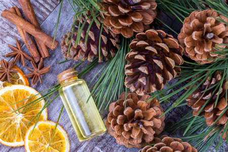 Pine cone plant, pine cone oil with various plantsの写真素材