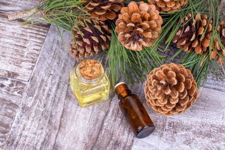 Wood scents for winter time aromatherapy. Pine cones and fresh green fir tree boughs, essential oil bottles, top viewの写真素材
