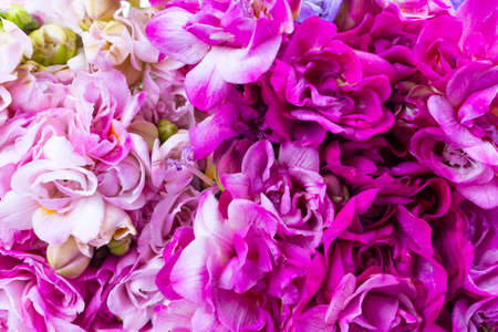 Bouquet of spring fresh freesia flowers herbalの写真素材