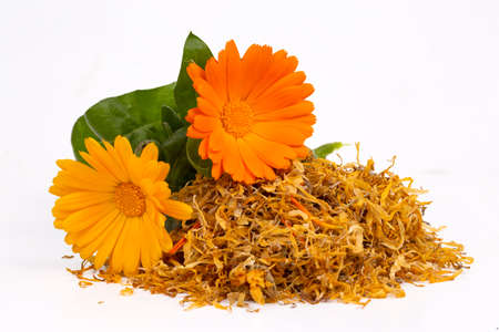 Fresh and dried calendula officinalis herbal flowersの写真素材