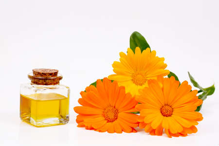Herbal calendula officinalis in the glass and drop oil Isolatedの写真素材