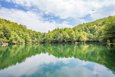 Yedigoller / Bolu / Turkey, summer season, forest landscapeの写真素材
