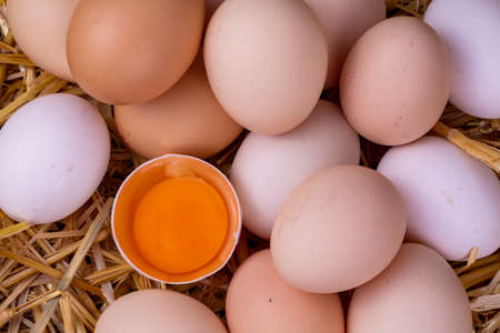 Raw eggs in dry straw. Food concept photo.の写真素材