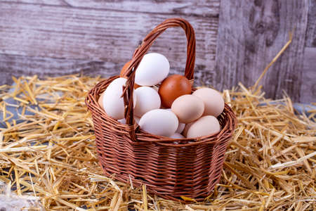 Raw eggs in dry straw. Food concept photo.の写真素材