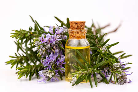 Rosemary essential oil in a small bottle. Natural aroma cosmetic oilの写真素材