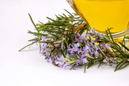 Rosemary essential oil in a small bottle. Natural aroma cosmetic oil