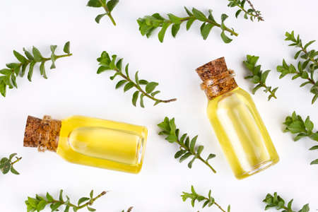 A bottle of thyme essential oil with fresh thymeの写真素材