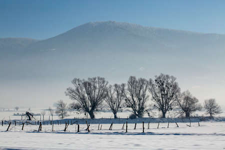 Bolu / Turkey, winter snow natural park landscapeの写真素材