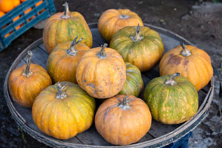 Pumpkins at farm market piled up ready to be sold.