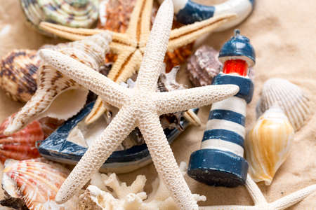 Various sea shells, concept, design, photo, backgroundの写真素材