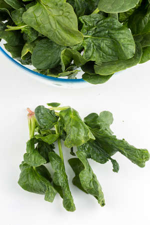 Green fresh organic spinach on the white background