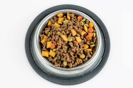 Pet animal; cat, dry food.の写真素材