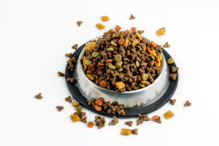 Pet animal; cat, dry food.の写真素材