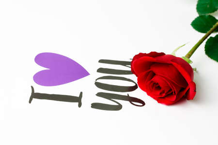 On white background red rose design, concept photo.