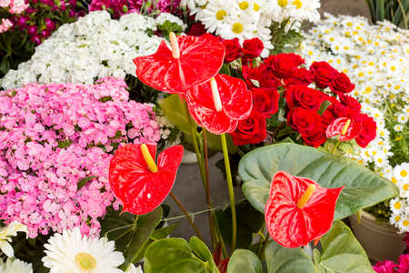 Bouquets of flowers at the Turkey / Izmir Flower marketの写真素材