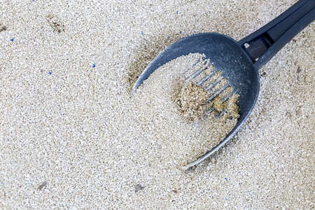 Clumping Bentonite Cat Litter on blue scoopの写真素材