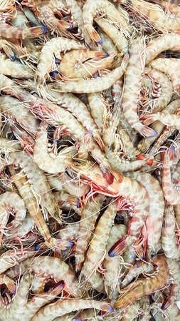 Seafood and raw fish market. Food concept photo.の写真素材