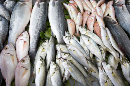 Seafood and raw fish market. Food concept photo.