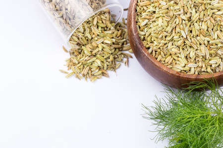 Dried herb, fennel seeds isolated, top view