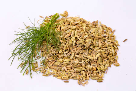 Dried herb, fennel seeds isolated, top viewの写真素材