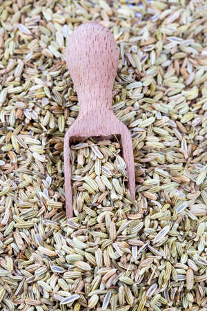 Dried herb, fennel seeds isolated, top viewの写真素材