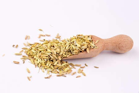 Dried herb, fennel seeds isolated, top viewの写真素材