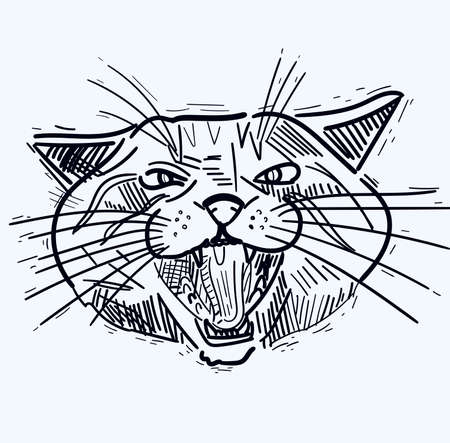 Cat art drawing background.の写真素材