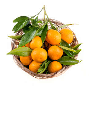 Ripe mandarines with leaves close-up on a white background. Tangerines with leaves on a white background.の写真素材