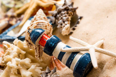 Starfishes, pearls, and amazing seashells close up