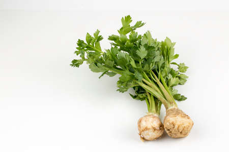 Fresh vegetables; celery on the white background