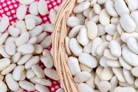 Dried foods; legumes, dried white bean. Food concept photo.