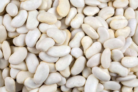 Dried foods; legumes, dried white bean. Food concept photo.