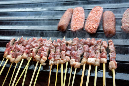 Traditional delicious Turkish foods; skewers cop fog