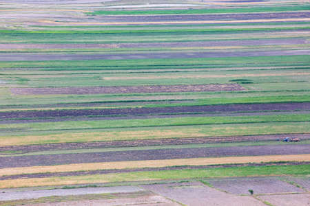 Aerial view of a farm field in Qinghai, China.の写真素材