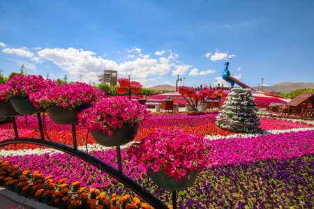 Konya / Turkey, June 7, 2019, Konya Selcuklu Flower park (cicek park)のeditorial素材