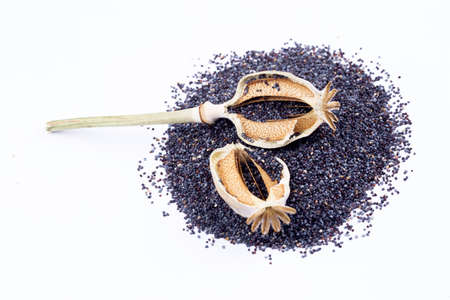 Poppy seeds isolated on white background. Top view, flat lay.の写真素材