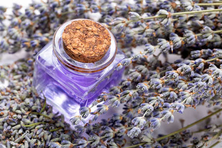 Dried lavender essential oil