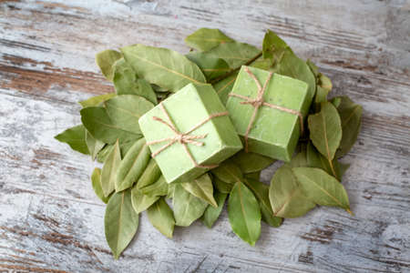 Daphne leaves and daphne soapの写真素材