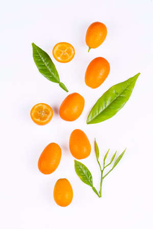 Cumquat or kumquat fruit on white background.の写真素材