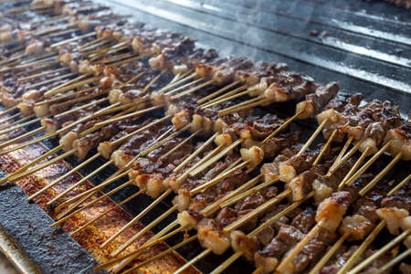 Traditional delicious Turkish foods; skewers cop fogの写真素材