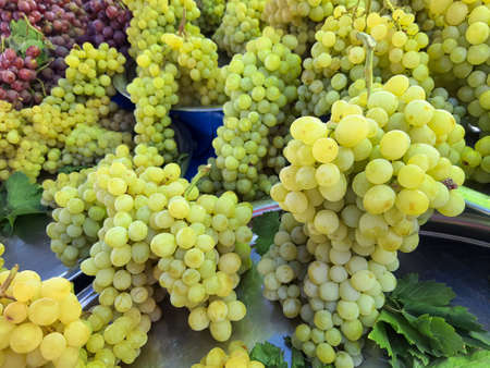 Bunches of white and green grapes on a market stall.の写真素材