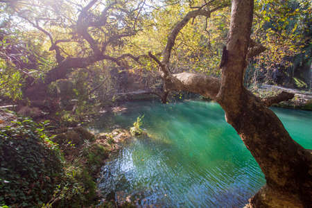 Beautiful view of the turquoise emerald water of the Plitvice Lakes National Park in Croatiaの写真素材